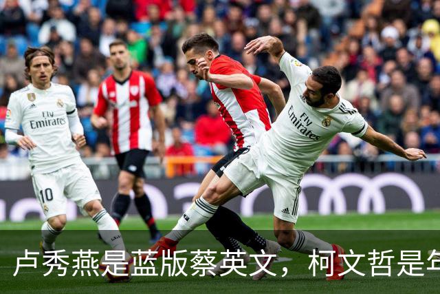 卢秀燕是蓝版蔡英文，柯文哲是年轻版宋楚瑜，郑丽文是激进版连战