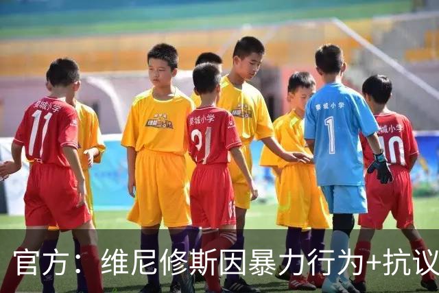 官方：维尼修斯因暴力行为+抗议裁判被禁赛4场，无缘国家德比