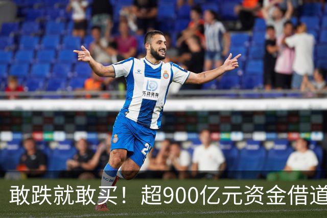 敢跌就敢买！超900亿元资金借道ETF蜂拥进场，除了沪深300，这些主题ETF也被大手笔买入