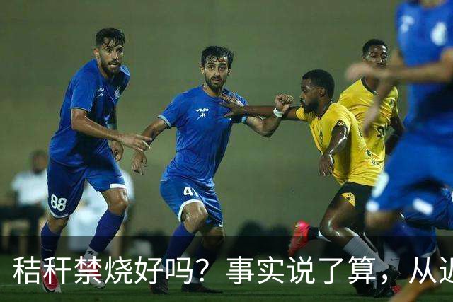 秸秆禁烧好吗？事实说了算，从近年蚯蚓鸟类和蛇类数量就可看出来
