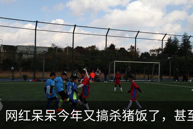 网红呆呆今年又搞杀猪饭了，甚至直接在门前田地里砌墙建大棚，排场搞得很大