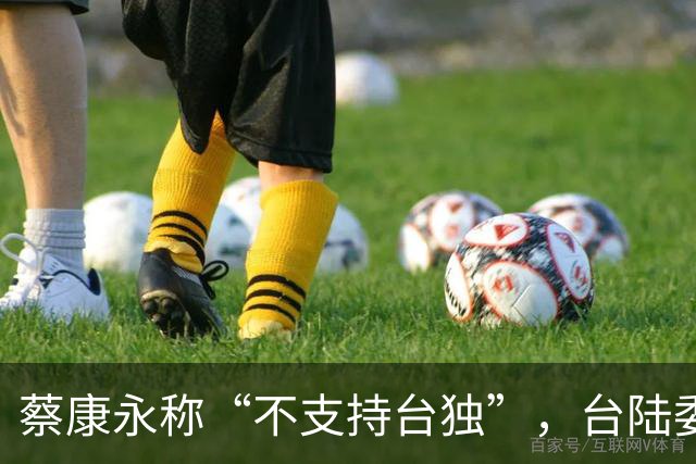 蔡康永称“不支持台独”，台陆委会又在狡辩，忽略重要一点