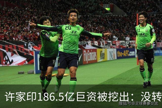 许家印186.5亿巨资被挖出：没转给丁玉梅，而是给了这位“老友”