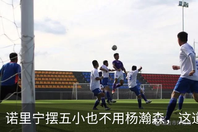 诺里宁摆五小也不用杨瀚森，这道用人门槛为何跨不过？