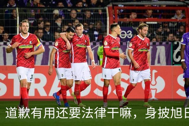 道歉有用还要法律干嘛，身披旭日旗男子是个资深“精日”分子